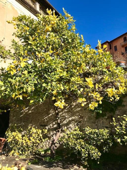 Villa Livia La Spezia Eksteriør billede